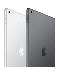 iPad 9th Generation 10.2-inch